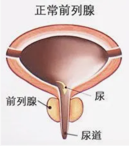 1669423819164359.png 微信截图_20221126085018.png